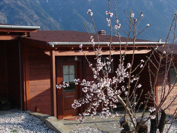 Villa Rustica Konitsa Exterior photo