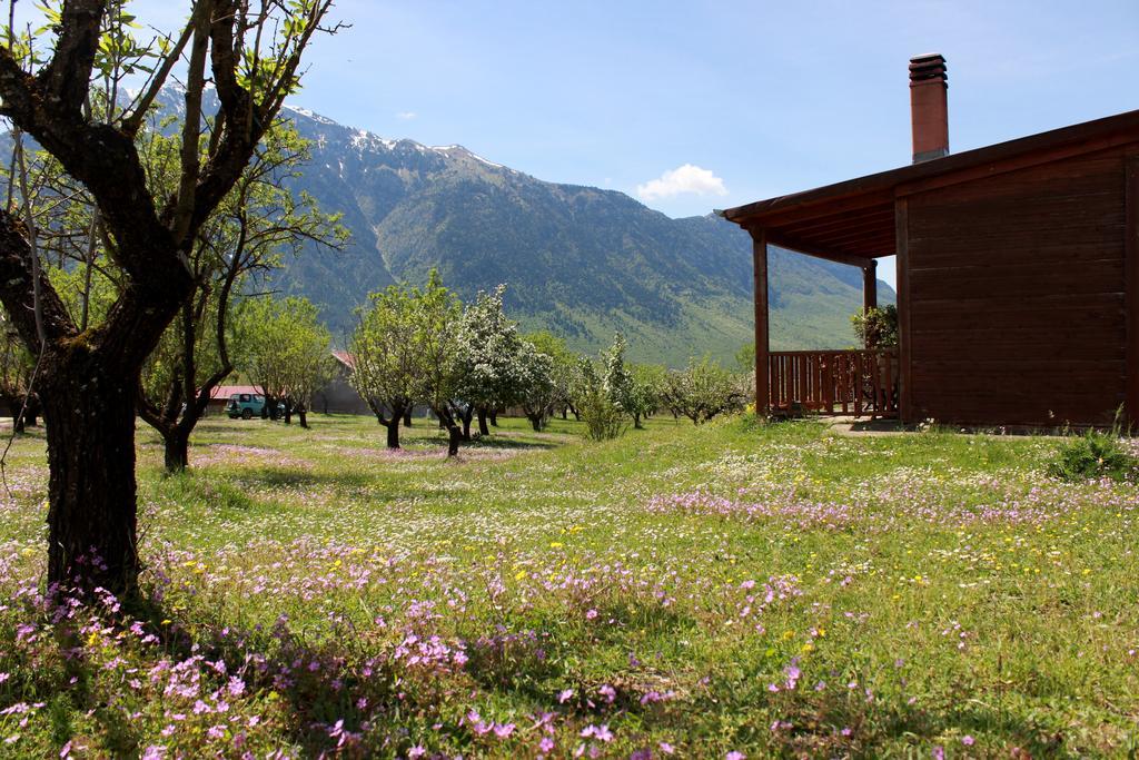 Villa Rustica Konitsa Exterior photo