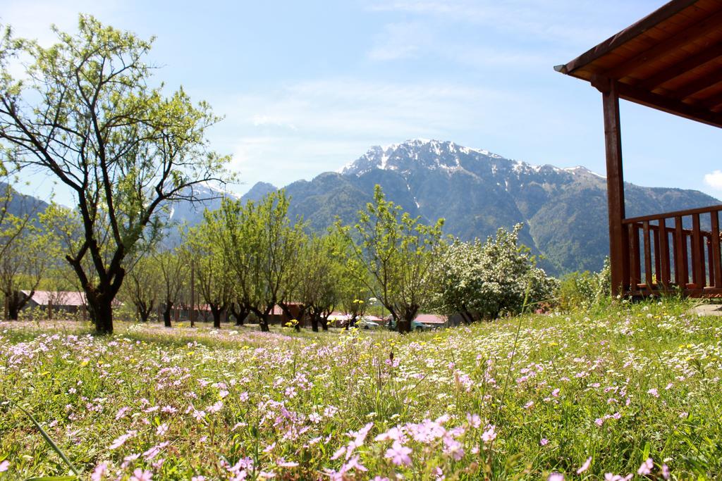 Villa Rustica Konitsa Exterior photo