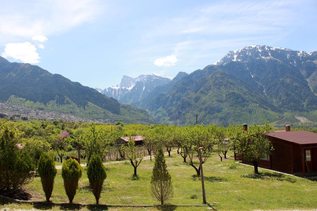 Villa Rustica Konitsa Exterior photo
