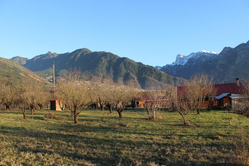Villa Rustica Konitsa Exterior photo