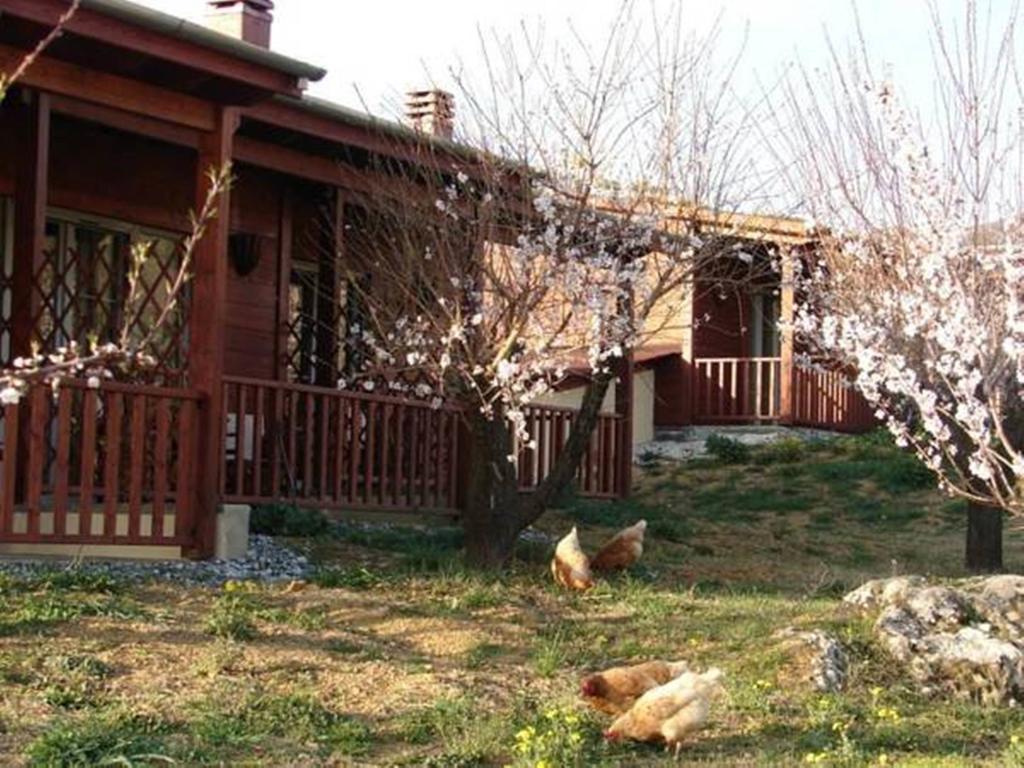Villa Rustica Konitsa Room photo